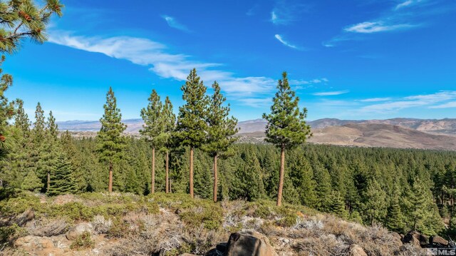 145 W Jeffrey Pine Rd, Reno, NV 89511 - photo 36