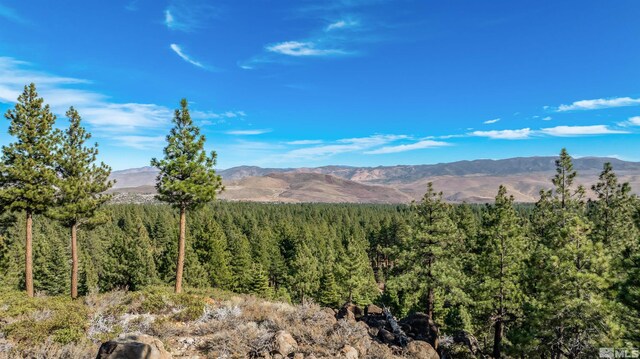 145 W Jeffrey Pine Rd, Reno, NV 89511 - photo 37