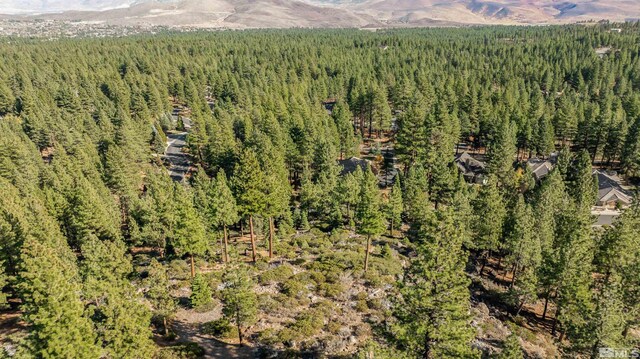 145 W Jeffrey Pine Rd, Reno, NV 89511 - photo 38