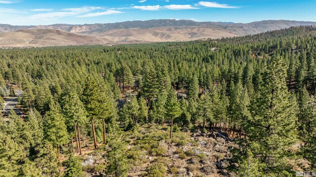 145 W Jeffrey Pine Rd, Reno, NV 89511 - photo 39