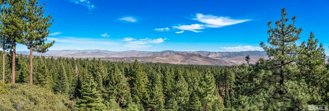 145 W Jeffrey Pine Rd, Reno, NV 89511 - photo 40