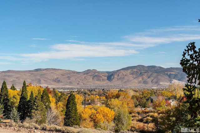 80 Cassas Ct, Reno, NV 89511 - view of mountain background