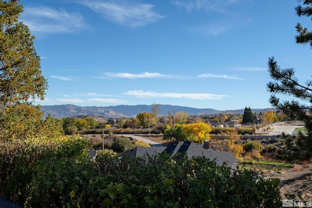 80 Cassas Ct, Reno, NV 89511 - mountain view