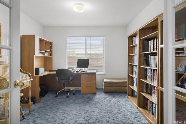 1018 Ringneck, Sparks, NV 89441 - view of carpeted office space