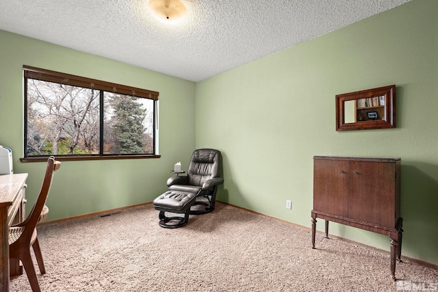 12880 Roseview Ln, Reno, NV 89511 - living area featuring carpet, a textured ceiling, and baseboards
