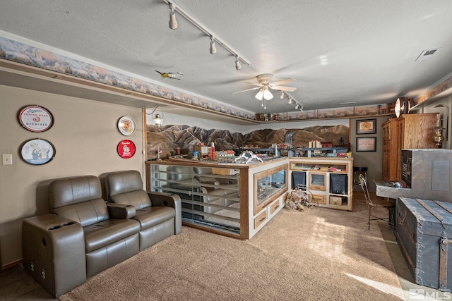 12880 Roseview Ln, Reno, NV 89511 - carpeted living area with track lighting, ceiling fan, a textured ceiling, and a wood stove