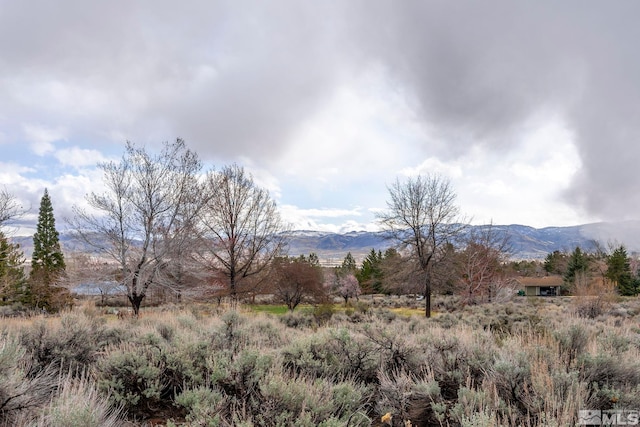 12880 Roseview Ln, Reno, NV 89511 - view of mountain background with rural landscape