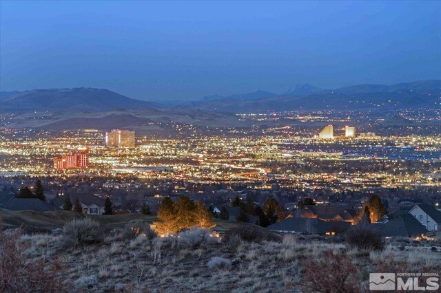 1005 Desert Jewel Ct, Reno, NV 89511 - mountain view