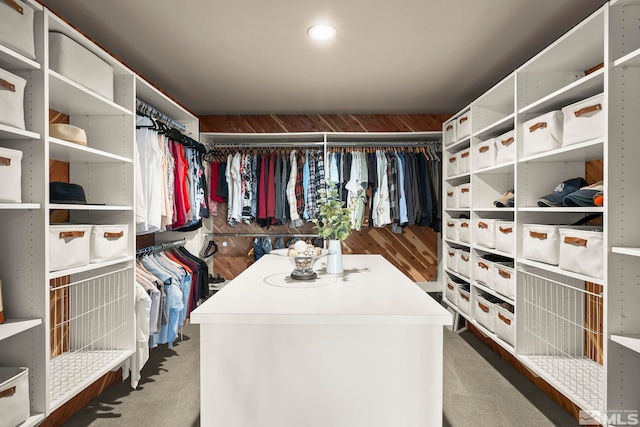 4840 Keshmiri Pl, Reno, NV 89519 - spacious closet with carpet floors