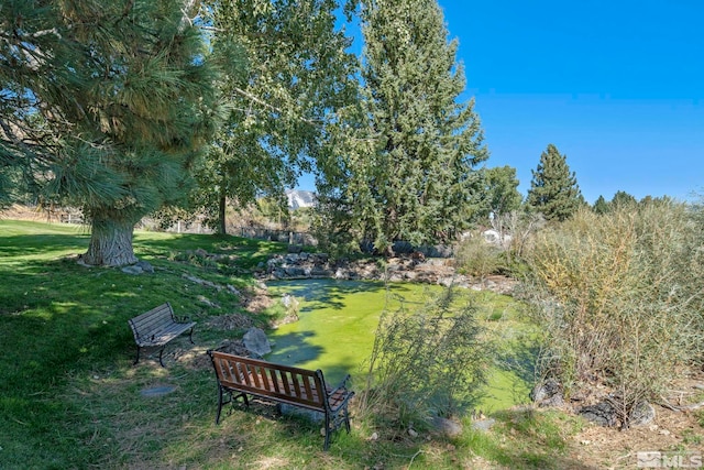 50 Lonesome Polecat Ln, Washoe Valley, NV 89704 - photo 32