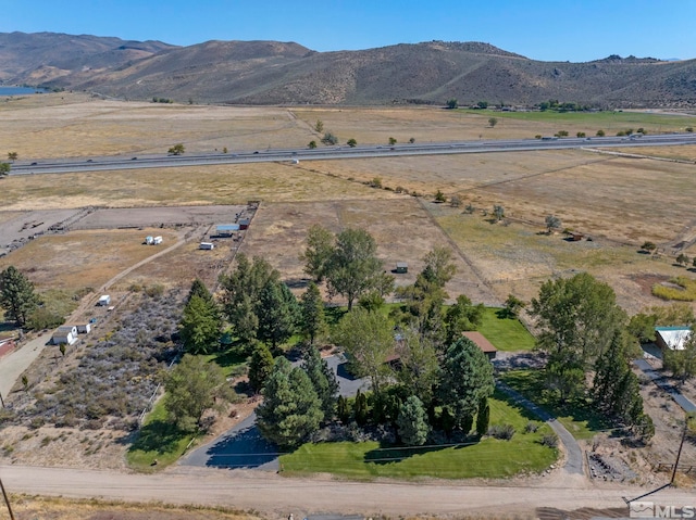 50 Lonesome Polecat Ln, Washoe Valley, NV 89704 - photo 33