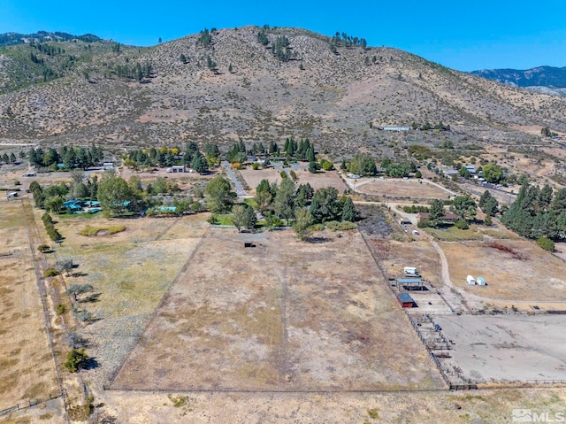 50 Lonesome Polecat Ln, Washoe Valley, NV 89704 - photo 34