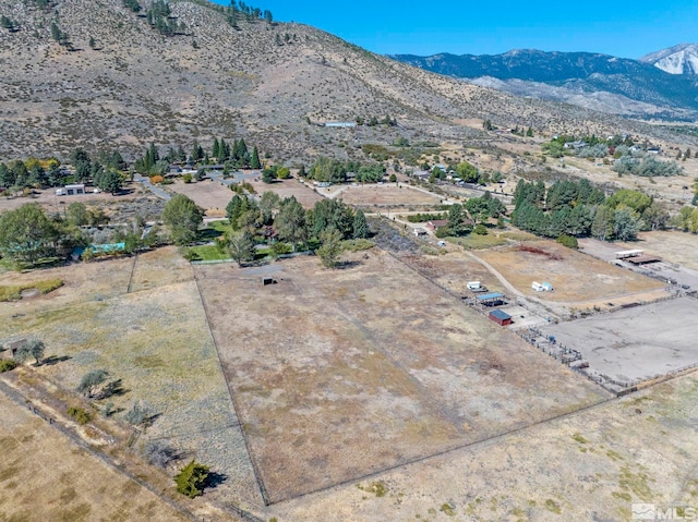 50 Lonesome Polecat Ln, Washoe Valley, NV 89704 - photo 35