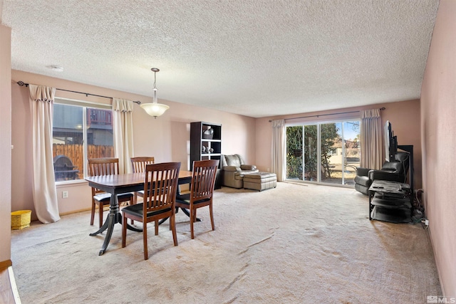 dining area featuring carpet flooring and a textured ceiling