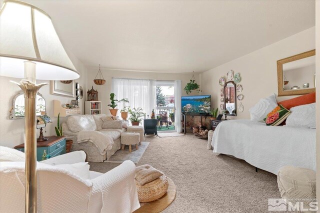 2955 Lakeside Dr Unit 223, Reno, NV 89509 - bedroom with carpet floors