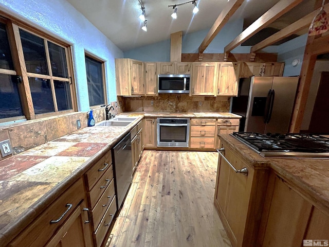 21410 Sazarac Rd, Reno, NV 89521 - kitchen with appliances with stainless steel finishes, a sink, lofted ceiling, rail lighting, and tasteful backsplash