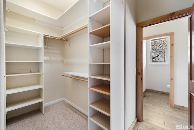 159 River Flow Dr, Reno, NV 89523 - spacious closet with light wood-style flooring