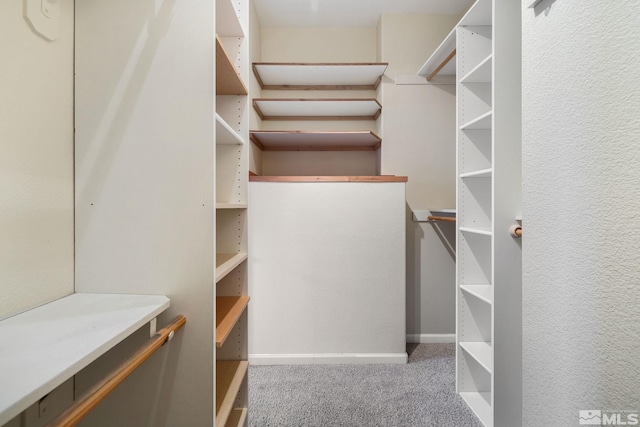 159 River Flow Dr, Reno, NV 89523 - spacious closet featuring carpet