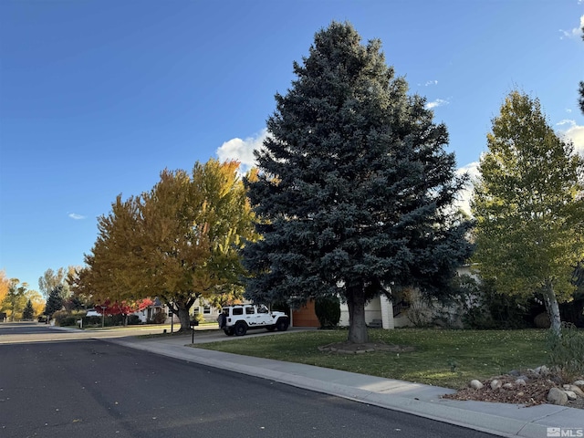 1599 Lucerne, Minden, NV 89423 - view of asphalt road with sidewalks and curbs