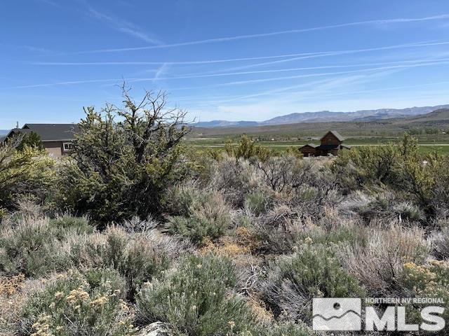 TBD Jenny May Way, Woodfords, CA 96120