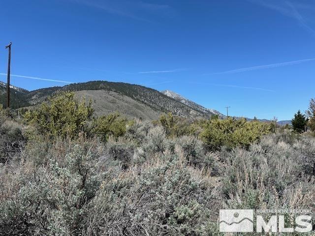 TBD Jenny May Way, Woodfords, CA 96120