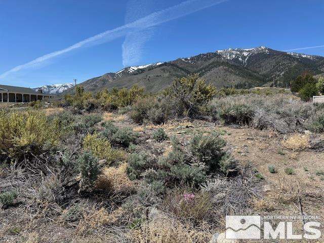 TBD Jenny May Way, Woodfords, CA 96120