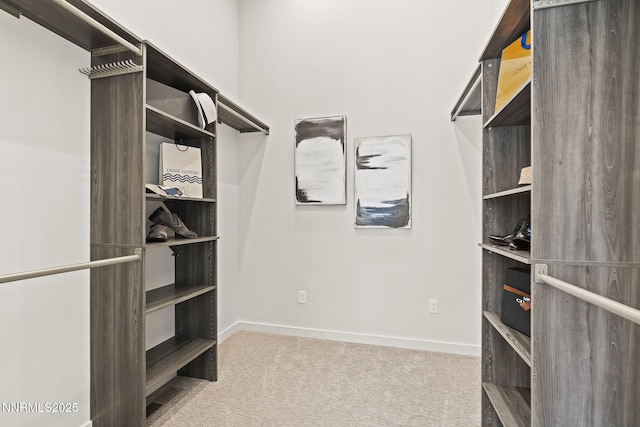 2255 Warrior Ln, Reno, NV 89523 - photo 43