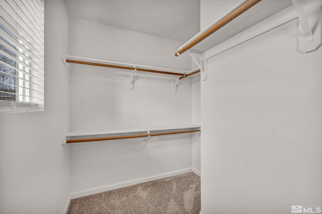 9195 Brown Eagle Ct, Reno, NV 89506 - spacious closet featuring carpet floors
