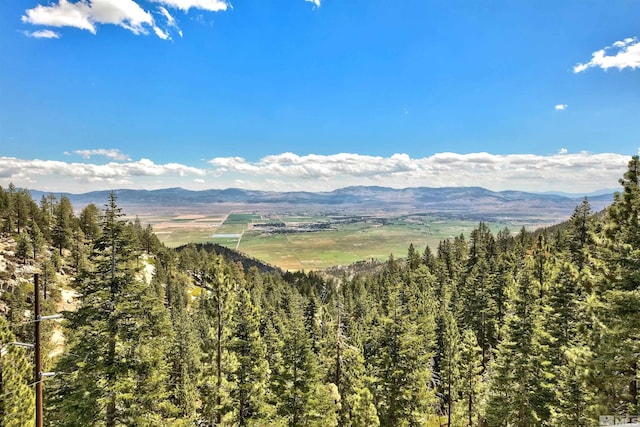 243 Tramway Dr, Stateline, NV 89449 - view of mountain backdrop featuring a heavily wooded area