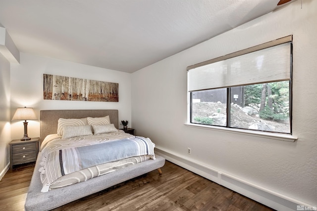243 Tramway Dr, Stateline, NV 89449 - bedroom featuring wood finished floors, baseboards, and a baseboard radiator