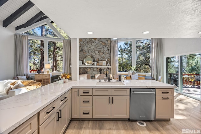 3055 US Highway 395, Washoe Valley, NV 89704 - kitchen with a sink, open floor plan, stainless steel dishwasher, light stone countertops, and a textured ceiling