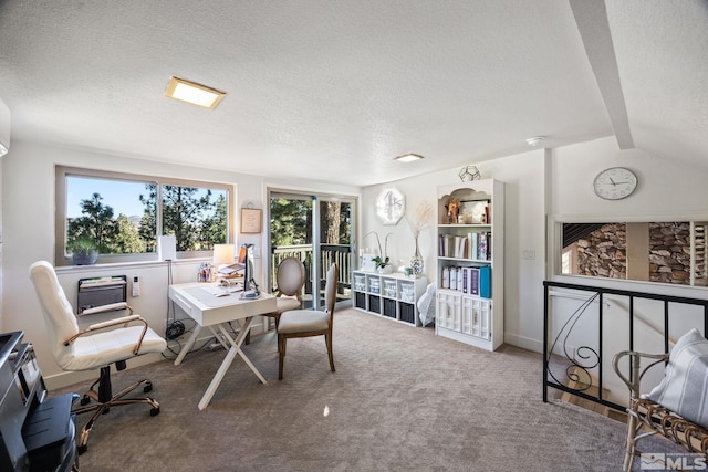 3055 US Highway 395, Washoe Valley, NV 89704 - carpeted office featuring a textured ceiling and baseboards