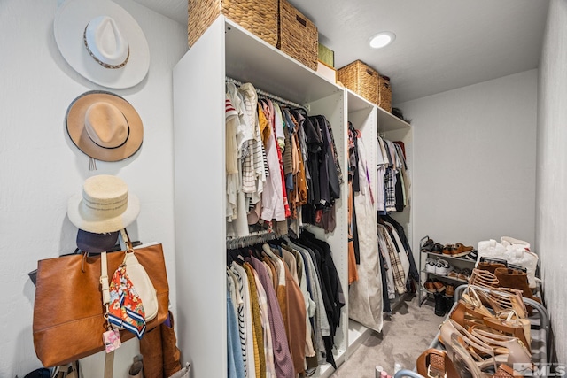 3055 US Highway 395, Washoe Valley, NV 89704 - spacious closet with light colored carpet