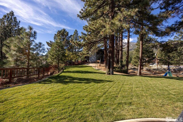 3055 US Highway 395, Washoe Valley, NV 89704 - view of yard