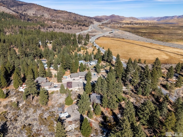 3055 US Highway 395, Washoe Valley, NV 89704 - aerial overview of property's location with a mountain backdrop