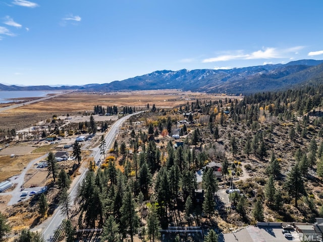 3055 US Highway 395, Washoe Valley, NV 89704 - aerial view of property's location with a mountainous background