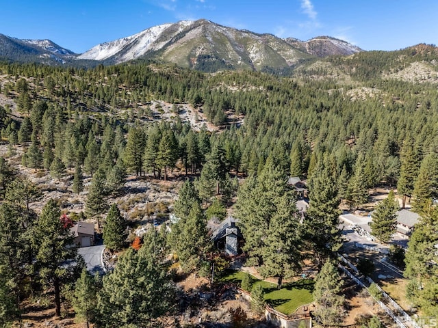 3055 US Highway 395, Washoe Valley, NV 89704 - view of mountain backdrop featuring a heavily wooded area