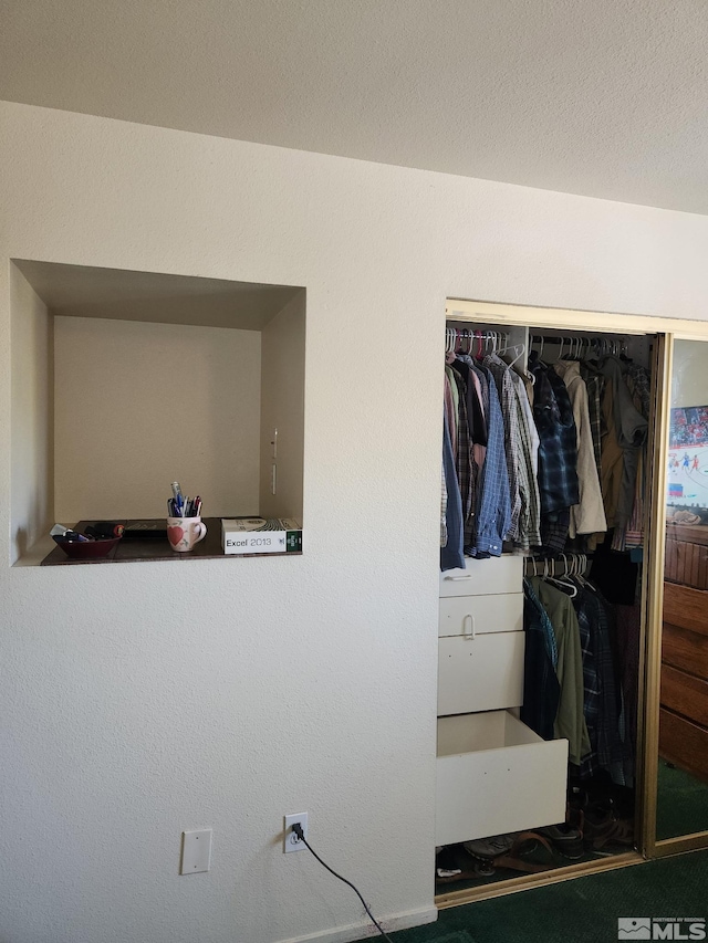 1363 Waterloo Ln, Gardnerville, NV 89410 - view of closet