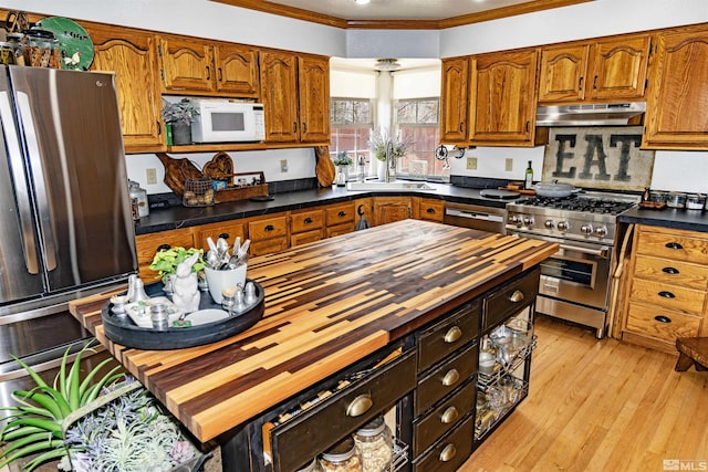 4635 Country River Dr, Fallon, NV 89406 - kitchen featuring butcher block counters, stainless steel appliances, under cabinet range hood, a sink, and crown molding