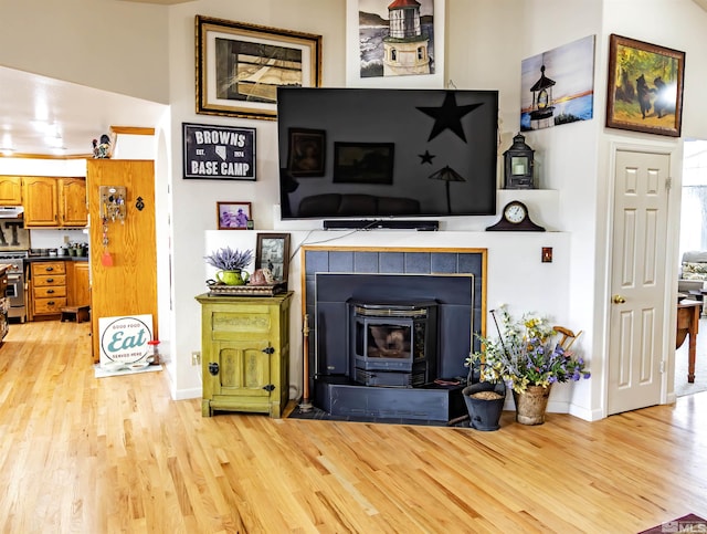 4635 Country River Dr, Fallon, NV 89406 - living area with a wood stove, light wood-type flooring, and baseboards
