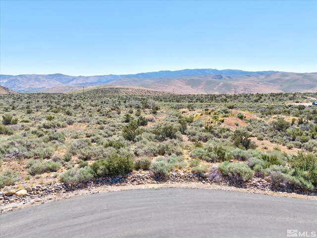 230 Shepherds Bush Ct, Reno, NV 89511 - photo 15