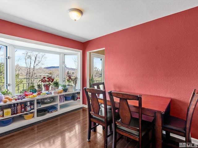 1879 Kings Canyon Rd, Carson City, NV 89703 - dining area with a textured wall, wood finished floors, and a mountain view