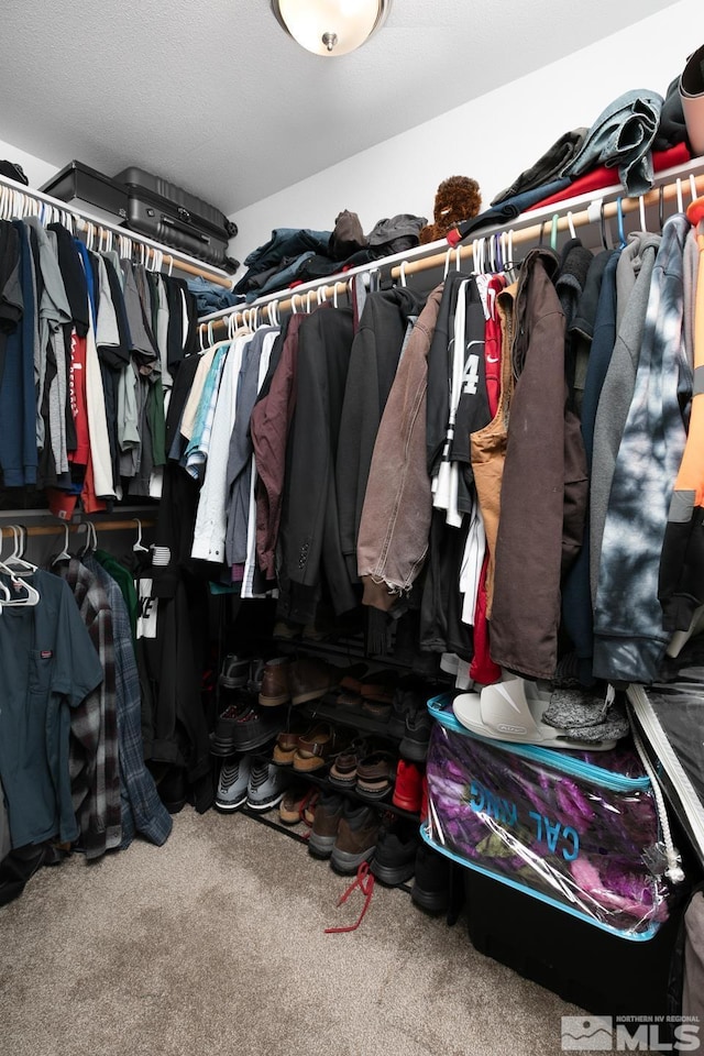 756 Megan Way, Fallon, NV 89406 - walk in closet with carpet floors