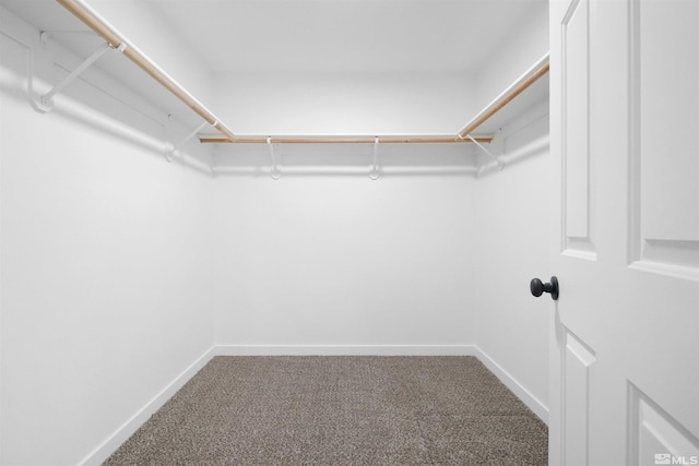 604 Venturacci Ln, Fallon, NV 89406 - spacious closet featuring carpet floors