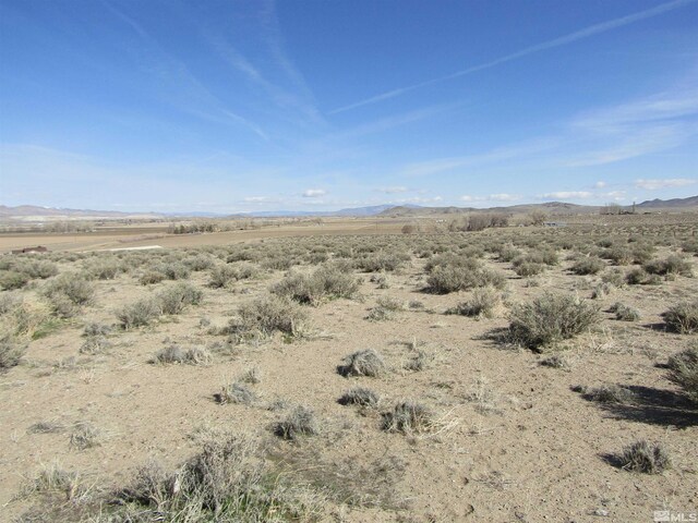 0 Tognoli Ln, Yerington, NV 89447 - photo 4