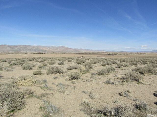 0 Tognoli Ln, Yerington, NV 89447 - photo 5