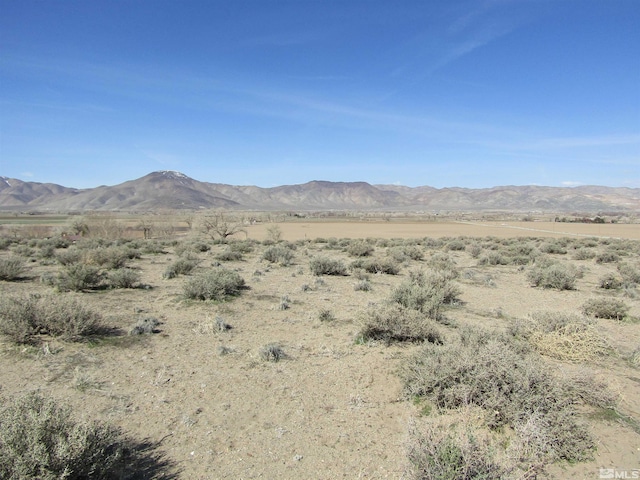 0 Tognoli Ln, Yerington, NV 89447 - photo 6