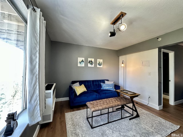 261 Quaking Aspen Ln Unit B, Stateline, NV 89449 - living room featuring wood finished floors, baseboards, and a textured ceiling