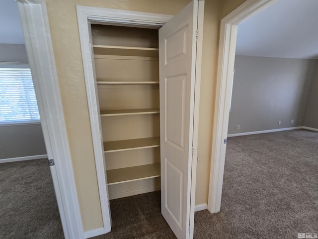 495 Len Cir, Reno, NV 89511 - view of closet