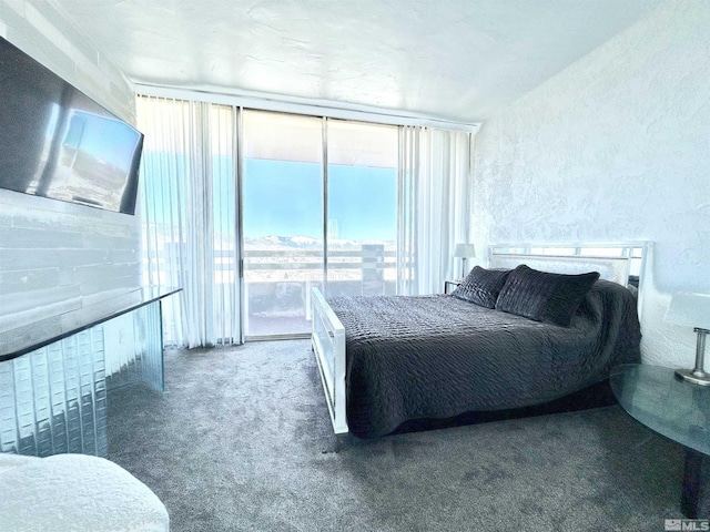 100 N Arlington Ave Unit 22-G, Reno, NV 89501 - bedroom with carpet floors, a textured wall, and access to exterior